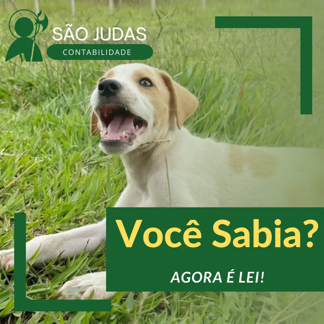 Você Sabia?